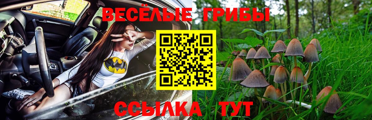 Галлюциногенные грибы мухоморы  как найти закладки  Ступино  Вход с VPN 